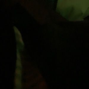 Meet your Posher, Jaidyn